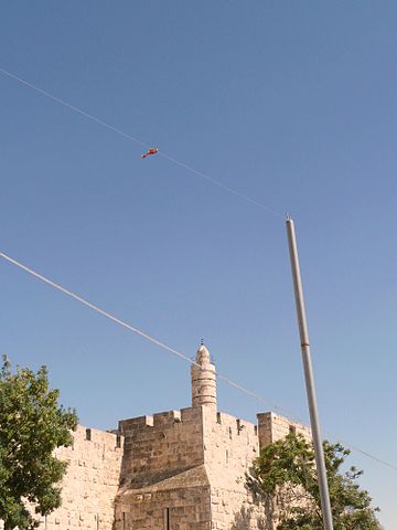Eruv wire and pole